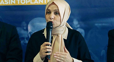 AK Partili Usta'dan fındık fiyatına ilişkin açıklama