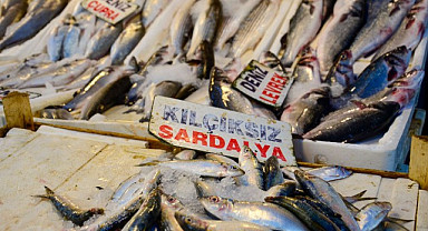 Balık fiyatlarında düşüş başladı