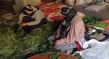 Bayburtlu kadınların kışlık konserve, turşu hazırlıkları başladı