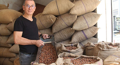 Fındıkta kahverengi kokarca oyunu