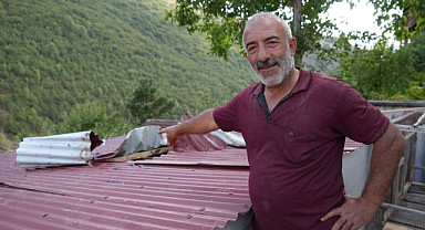 Kümesteki tavukları yemek için çatıya tırmanan ayı hem çatıyı hem de kendini parçaladı