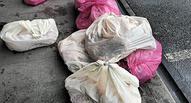 Ordu'da 300 kilo kaçak ve sağlıksız et ele geçirildi