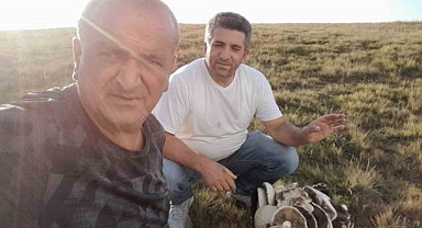 Trabzon'daki yaylada mantar bolluğu yaşanıyor