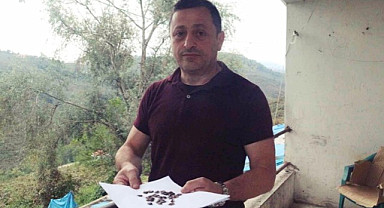Giresun'da çiftçilere kahverengi kokarca uyarısı