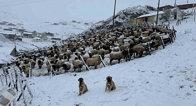 Kadırga Yaylası'ndaki kar yağışı nedeniyle yaylacılar dönüyor