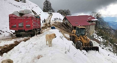 Rize'deki Sırt Yaylası'nda mahsur kalanlar kurtarıldı