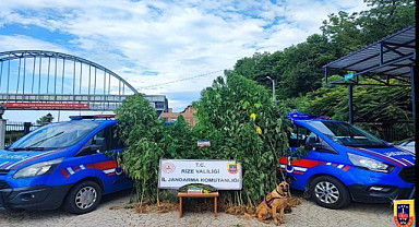 Rize jandarmasının 4 aydaki uyuşturucu operasyonları