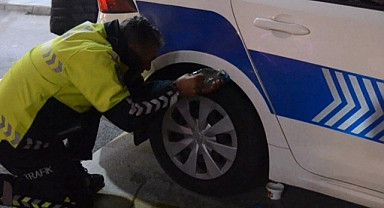 Giresun'da polis ve itfaiyecilerden kedi operasyonu