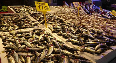 Trabzon'da hava şartları hamsi fiyatını etkiledi