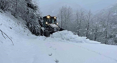 Trabzon, Rize, Giresun ve Artvin'de ulaşım aksıyor