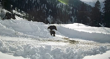 Çayeli'nde 2 ayının karlar içerisindeki gezintisi görüntülendi