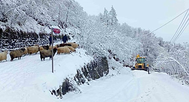 Doğu Karadeniz'i çetin kış şartları teslim aldı