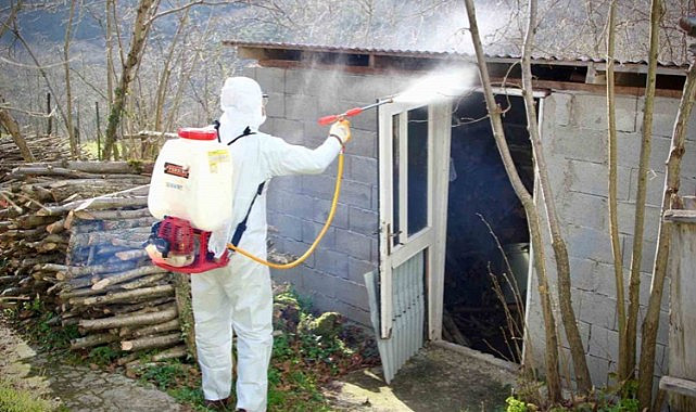 Giresun Belediyesi'nden kahverengi kokarca ilaçlaması