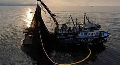 Hamsi fiyatı bu sene yüzleri güldürdü