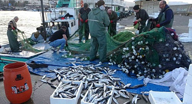 Karadeniz'de şimdi de kefal bolluğu başladı